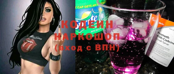 амф Пестово